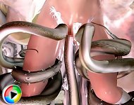 3d Hentai Tentacle Porn